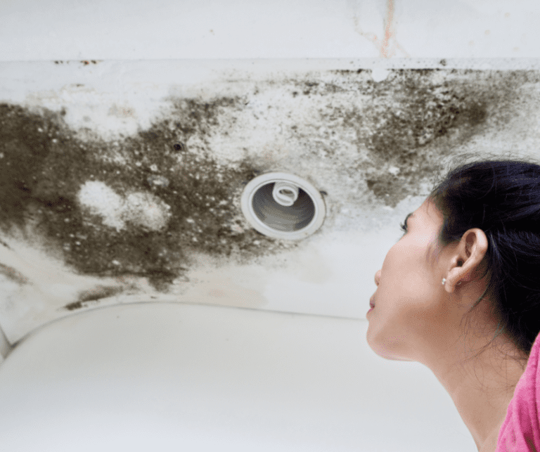 Water Damage Causing Mold